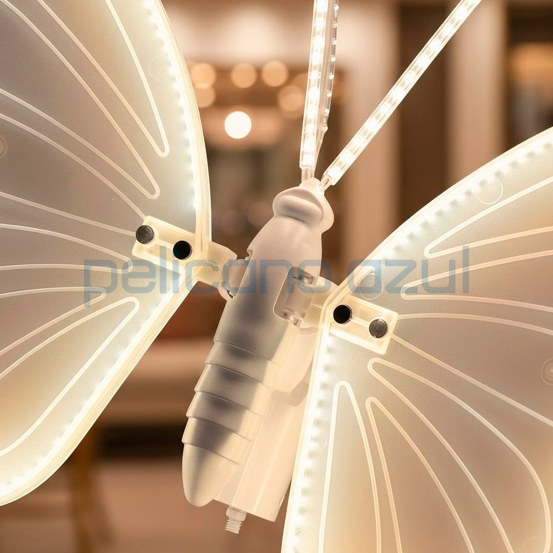 Borboleta Aurora – Asas em Movimento