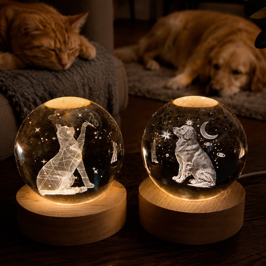 Luminária Patas de Luz: Gato ou Cachorro