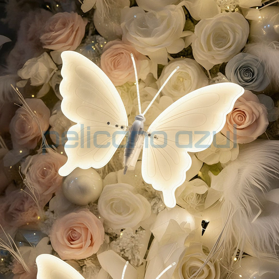 Borboleta Aurora – Asas em Movimento