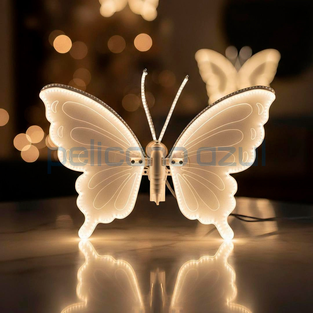 Borboleta Aurora – Asas em Movimento